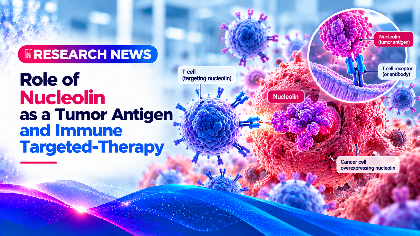 Role of nucleolin as a tumor antigen and immune targeted-therapy