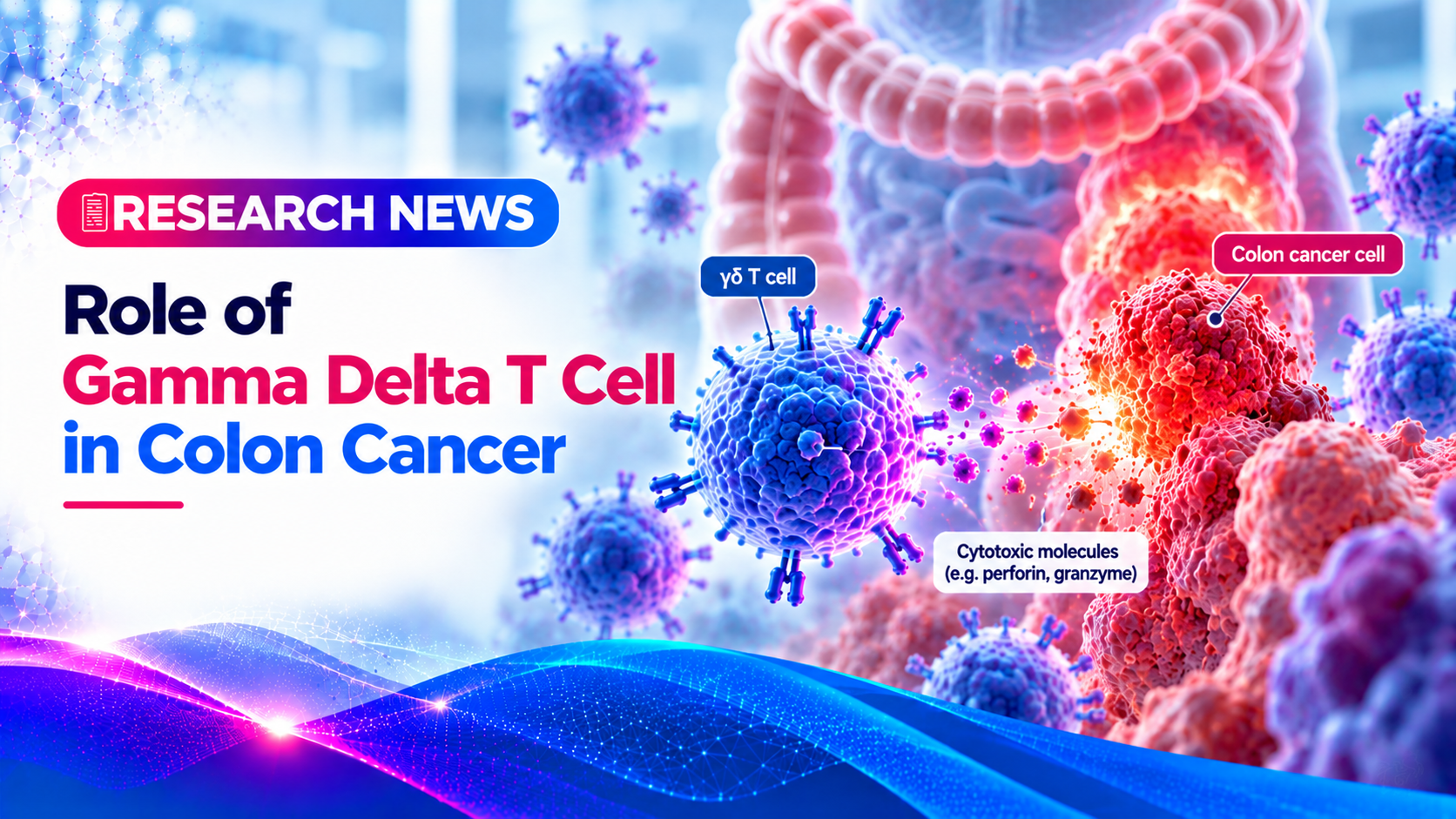 Role of gamma delta T cell in colon cancer