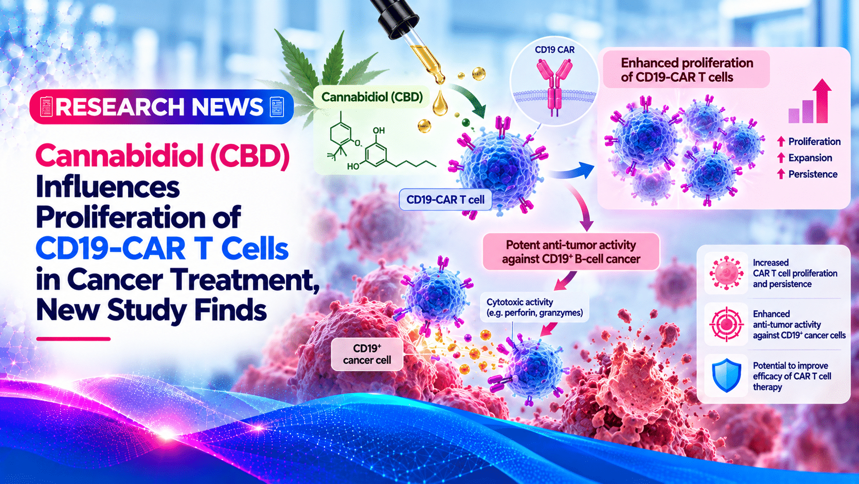 Cannabidiol (CBD) Influences Proliferation of CD19-CAR T Cells in Cancer Treatment, New Study Finds