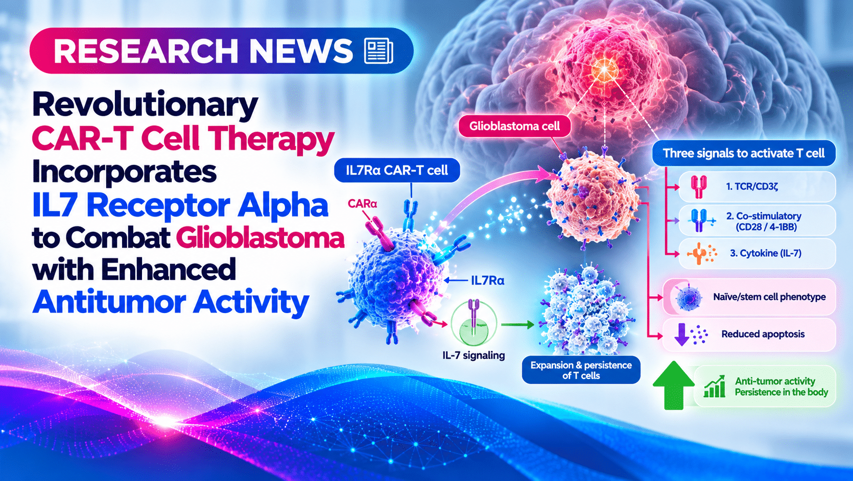 Revolutionary CAR-T Cell Therapy Incorporates IL7 Receptor Alpha to Combat Glioblastoma with Enhanced Antitumor Activity