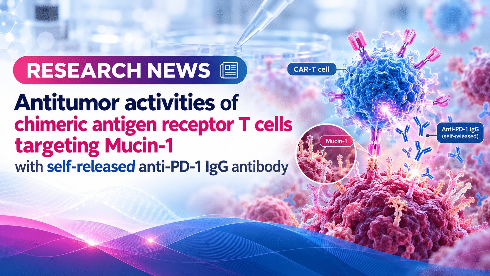 Antitumor activities of chimeric antigen receptor T cells targeting Mucin-1 with self-released anti-PD-1 IgG antibody