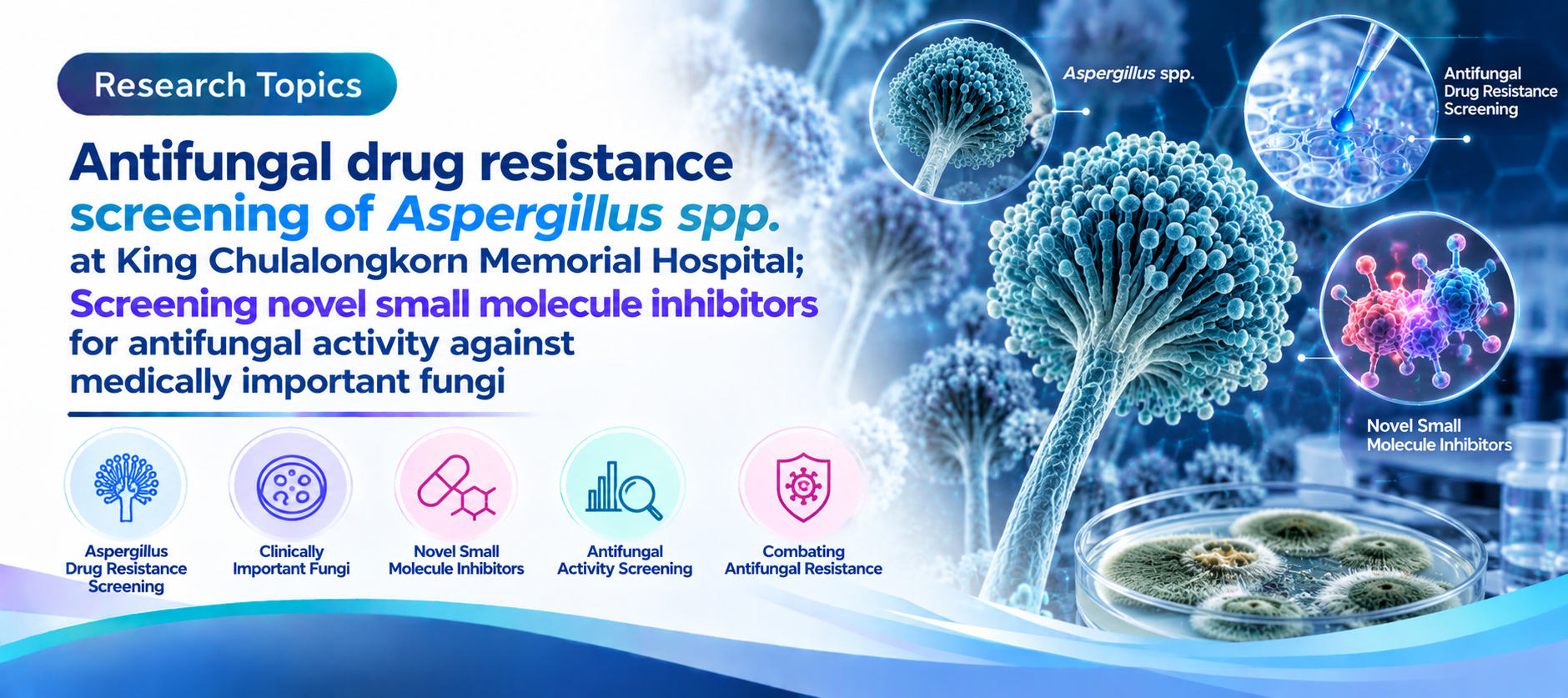 Antifungal drug resistance screening of Aspergillus spp. at King Chulalongkorn Memorial Hospital; Screening novel small molecule inhibitors for antifungal activity against medically important fungi