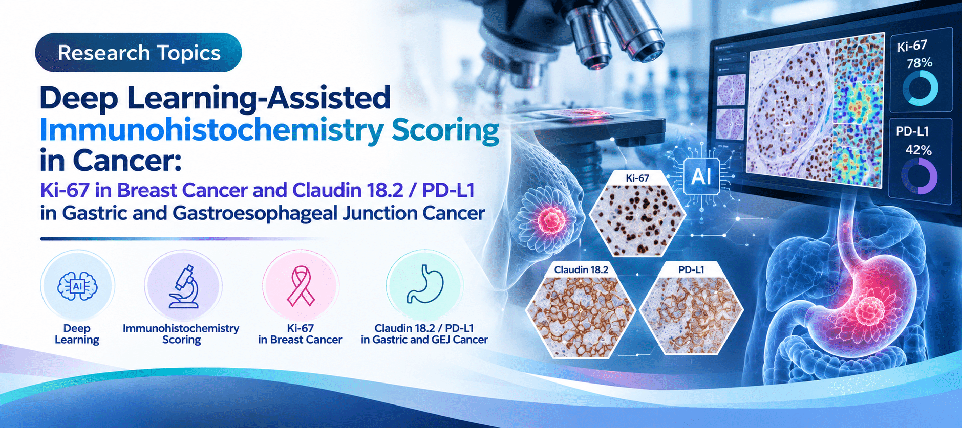Deep Learning-Assisted Immunohistochemistry Scoring in Cancer: Ki-67 in Breast Cancer and Claudin 18.2 / PD-L1 in Gastric and Gastroesophageal Junction Cancer