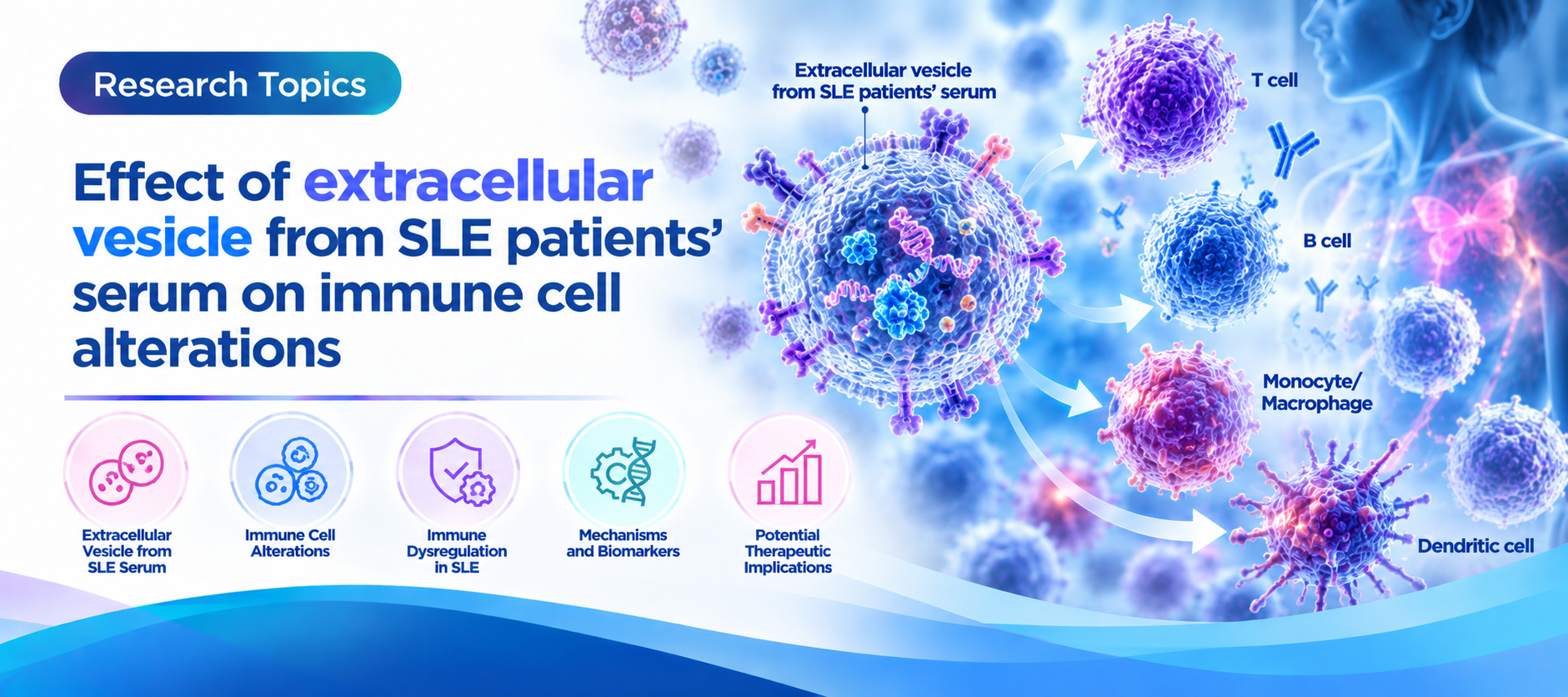 Effect of extracellular vesicle from SLE patients’ serum on immune cell alterations
