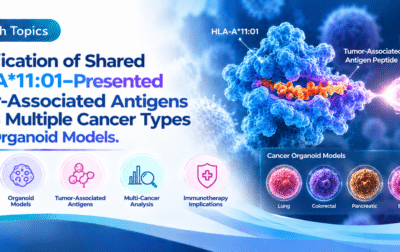 Identification of Shared HLA-A*11:01–Presented Tumor-Associated Antigens Across Multiple Cancer Types Using Organoid Models.
